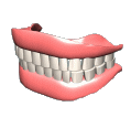 Prodent "Freeze"